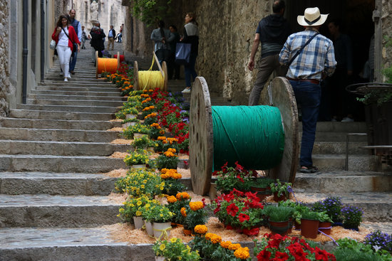 Flowers lining a Girona street during the 2019 celebration of Temps de Flors (by Gerard Vilà)